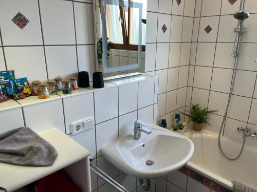 a bathroom with a sink and a shower and a mirror at Fewo Weinland in Zweibrücken