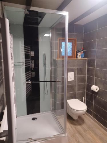 a bathroom with a shower and a toilet at vogelzang in Oignies-en-Thierache