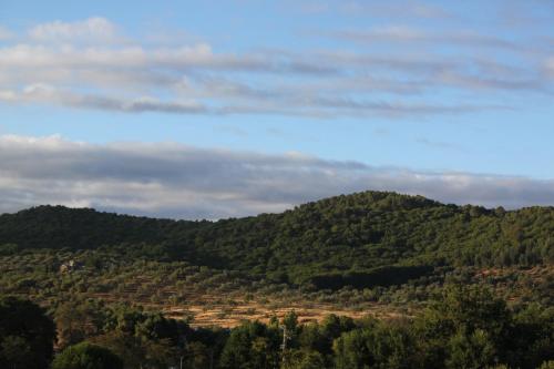 Imagen de la galería de El Palacio de San Benito, en Cazalla de la Sierra