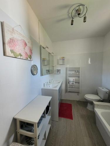 une salle de bain blanche avec un lavabo et des toilettes dans l'établissement Maison pieds dans l eau St Florent, à Saint-Florent