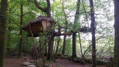 a tree house in the middle of the woods at Les hébergements insolites de Quénécan in Perret