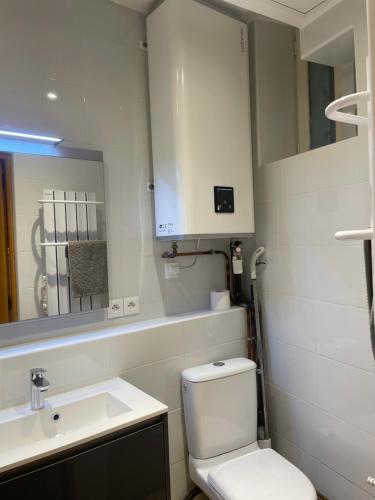 une salle de bain avec toilettes, lavabo et miroir dans l'établissement Superbe Studio Montmartre, rue des Abbesses, à Paris