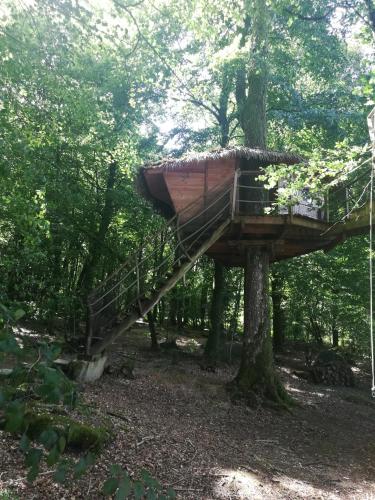 a tree house in the woods with a staircase at Les hébergements insolites de Quénécan in Perret