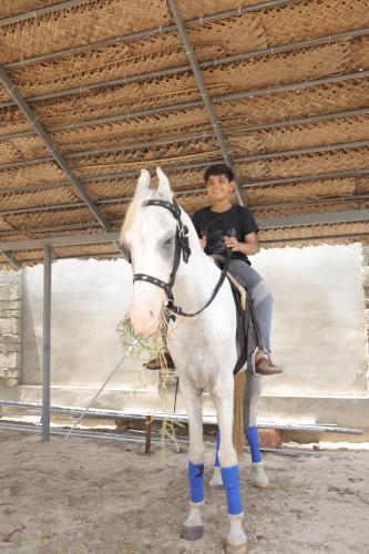 un hombre está sentado sobre un caballo blanco en RIVA Marari Beach Homestay, en Mararikulam