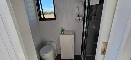a small bathroom with a toilet and a shower at Halls Haven Tiny House 1 in Halls Gap