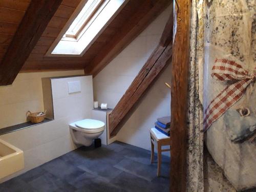 a bathroom with a toilet and a sink and a skylight at Altes Forsthaus in Riedlhütte