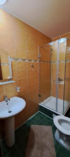 a bathroom with a sink and a shower and a toilet at Hotel Pescarus Port Bicaz in Bicaz