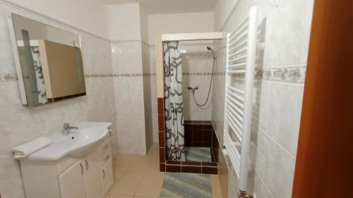 Kúpeľňa v ubytovaní Apartments Gato Karlovy Vary Dalovice