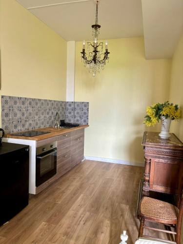 une cuisine avec un lustre suspendu au-dessus d'un comptoir dans l'établissement Château de la Pervenchère gîte Exotique, à Casson