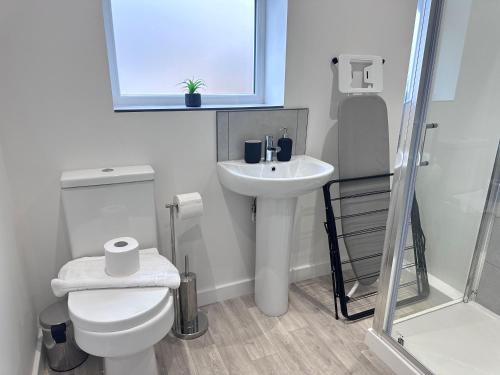 a bathroom with a toilet and a sink and a mirror at All Inn Apartments in Staveley