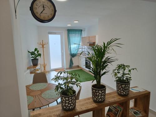 a room with potted plants and a clock on the wall at Family Apartments Tauchen in Mönichkirchen