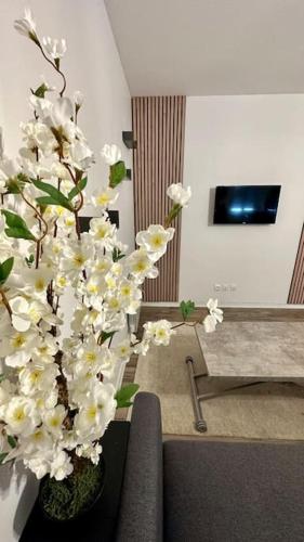 um vaso com flores brancas numa sala de estar em Appartement avec terrasse em Vierzon