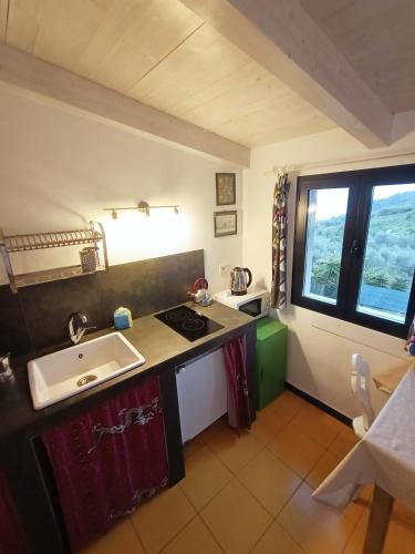 a small kitchen with a sink and a window at I Valloni Apartments in Imperia