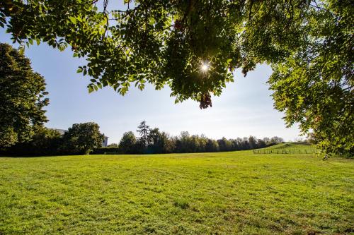 Photo de la galerie de l'établissement LénApartman - Dakota, à Pécs