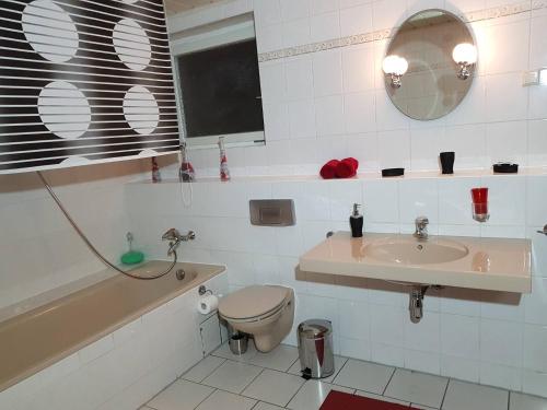 a bathroom with a sink and a toilet and a mirror at Ferienwohnung Eulenhof in Templin