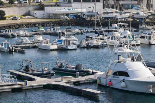Une bande de bateaux amarrés dans un port dans l'établissement WelcomeBuddy - Casa Rua da Fonte, à Ponta Delgada