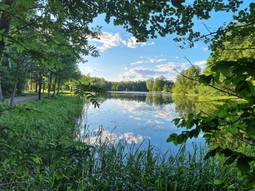a view of a river through the trees at Sofielund Vandrarhem & Camping in Sala