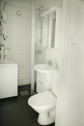 Baño blanco con aseo y lavamanos en Cozy downtown studio in Turku en Turku