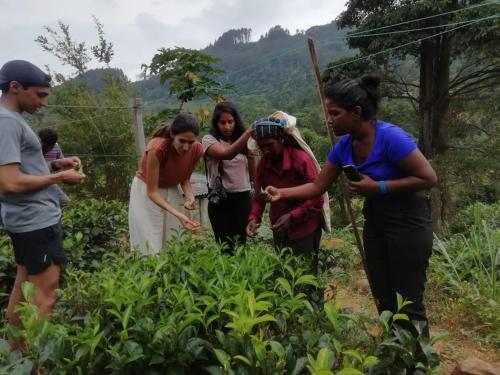 a group of people standing in a garden at Galaha Eco Camping 1 in Kandy