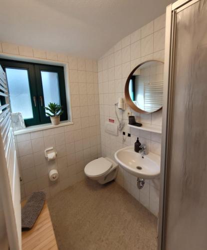 a bathroom with a toilet and a sink and a mirror at Pension Am Stadtholz in Kröpelin