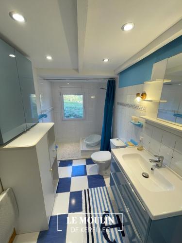 une salle de bain bleue et blanche avec des toilettes et un lavabo dans l'établissement Cottage Ouessant in Kerellec (watermill 5km Roscoff), à Plougoulm