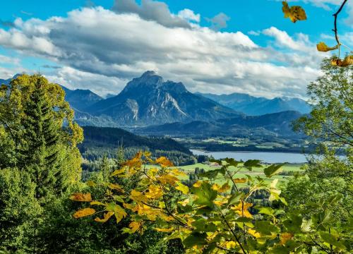 フュッセンにあるゲステハウス　コプフの山々と木々のある湖の景色