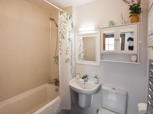 uma casa de banho com um lavatório, um WC e um chuveiro em Southbank Cottage em Errol