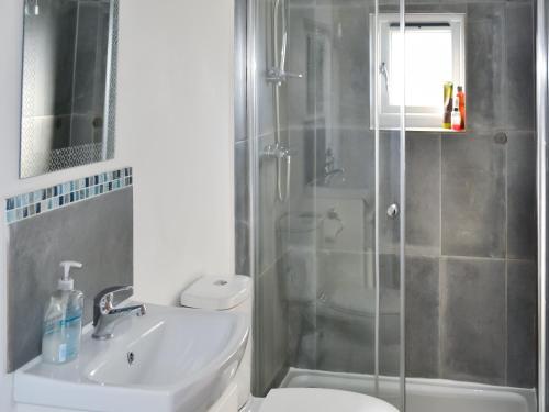a bathroom with a shower and a toilet and a sink at The Lodge - Uk46636 in Culbokie