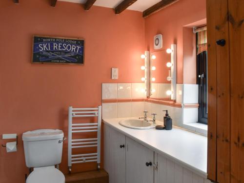 a bathroom with a toilet and a sink and a mirror at The Stables in Acle
