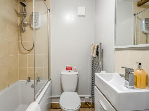 a bathroom with a toilet and a sink and a shower at The Barn in Martham