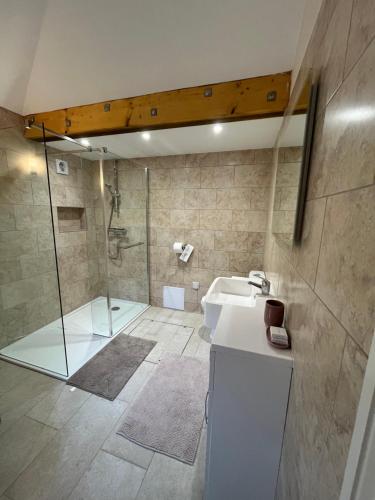 a bathroom with a shower and a sink at Neuadd Villa in Llanwnen
