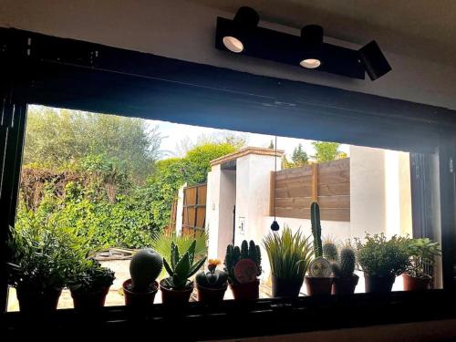 un grupo de plantas sentadas en el alféizar de una ventana en Atuaire Apartment Sevilla, en Mairena del Aljarafe