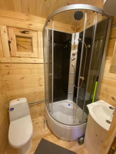 a bathroom with a shower and a toilet and a sink at Dubryk Domki na Kaszubach in Stara Kiszewa