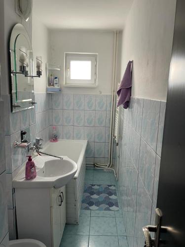 a bathroom with a sink and a bath tub at Cozy Apartment in Bacău