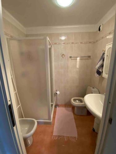 une salle de bain avec une douche, un lavabo et des toilettes dans l'établissement Holiday rental in Roquebrune Cap Martin, à Roquebrune-Cap-Martin
