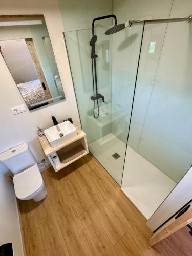 a bathroom with a shower and a toilet and a sink at Alojamientos La Alberca in Arguedas