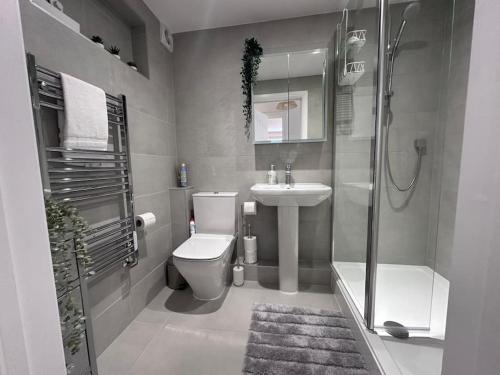 a bathroom with a toilet and a sink and a shower at 2bed Ground Floor flat + garden in Sunningwell