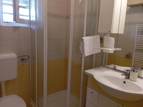 a bathroom with a toilet and a sink and a shower at Vineyard cottage Tilka in Novo Mesto