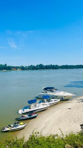 a group of boats are lined up on the beach at SZIGET HOTEL VERÁNKA in Érsekcsanád