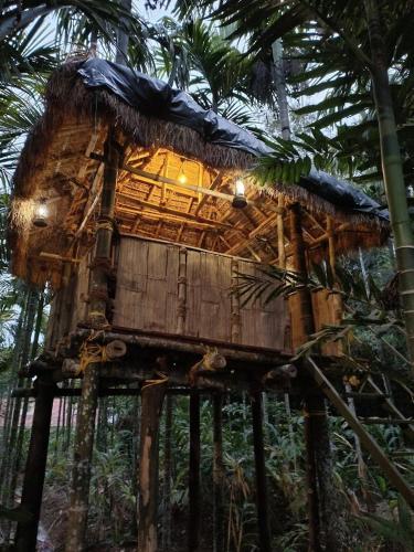 une cabane dans les arbres au milieu de la forêt dans l'établissement Livi Homestay, à Ambalavayal