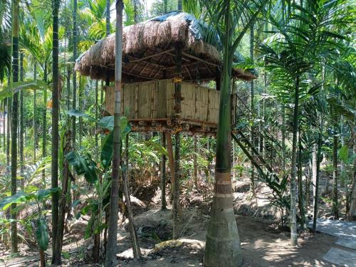 a tree house in the middle of a forest at Livi Homestay in Ambalavayal