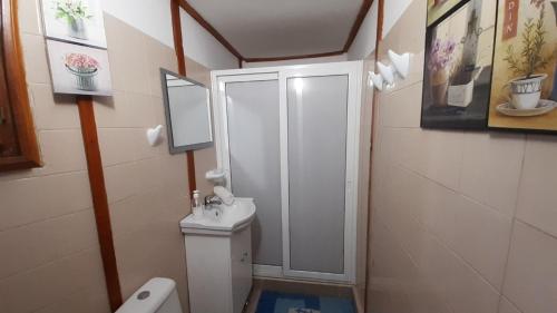 La salle de bains est pourvue de toilettes, d'une douche et d'un lavabo. dans l'établissement Motivi cottage, à Saints Constantine et Helena