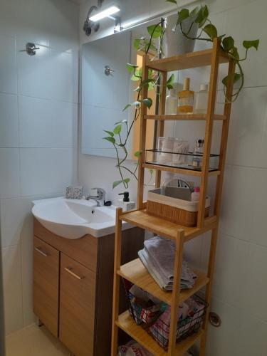 a bathroom with a sink and a shelf with plants at Garden by the Sea in Kalamata