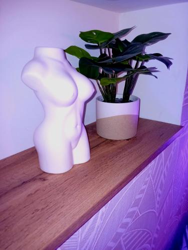 Photo de la galerie de l'établissement Appartement CasaLova Love Room, à Denain