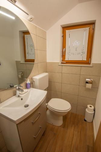a bathroom with a toilet and a sink and a mirror at Vineyard cottage Majolka in Novo Mesto