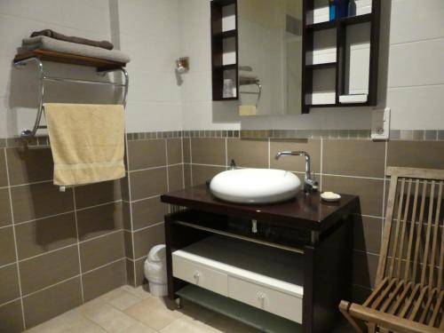 La salle de bains est pourvue d'un lavabo et d'un miroir. dans l'établissement VIC-de-CHASSENAY, 