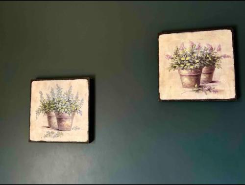 two pictures of flowers in pots on a wall at Suite Lavanda in Santo Antônio do Pinhal