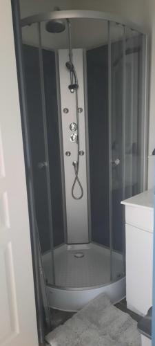 La salle de bains est pourvue d'une douche avec une porte en verre. dans l'établissement Bienvenue chez vous, au Puy-en-Velay