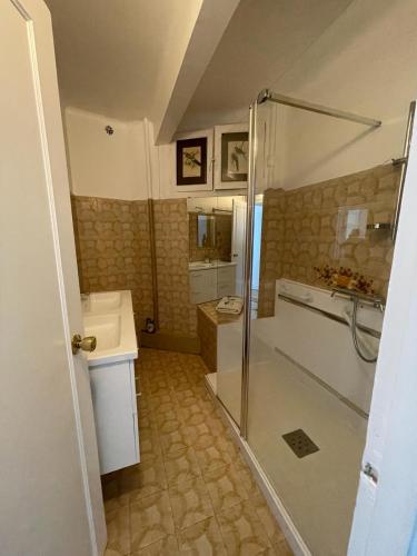 une salle de bain avec douche et lavabo dans l'établissement magnifique appartement, à Paris
