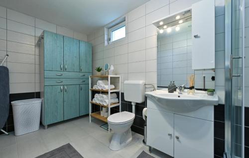 uma casa de banho com um WC e um lavatório em Pet Friendly Home In Vinica Breg With Wifi em Gorušenjak